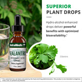 NutraMedix Sealantro botella-1oz formato práctico para llevar a mano