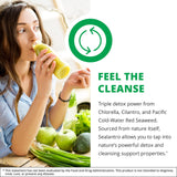 NutraMedix Sealantro extracto-cilantro apoyo detox suave en cualquier rutina