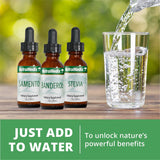 Ingrediente clave de origen vegetal compatible con otros suplementos NutraMedix.