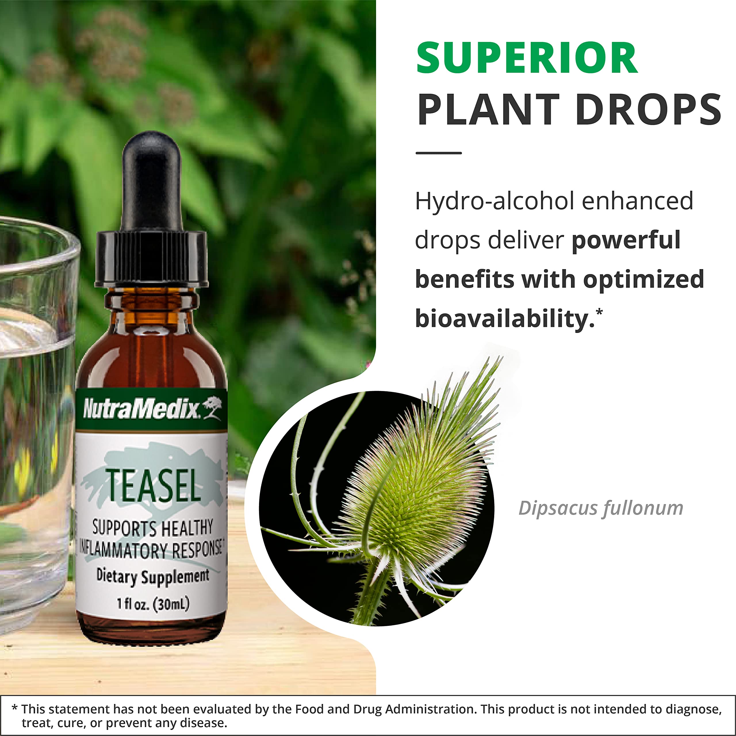 NutraMedix Teasel Extract antioxidantes naturales para apoyo diario
