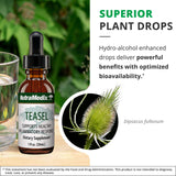 NutraMedix Teasel Extract antioxidantes naturales para apoyo diario