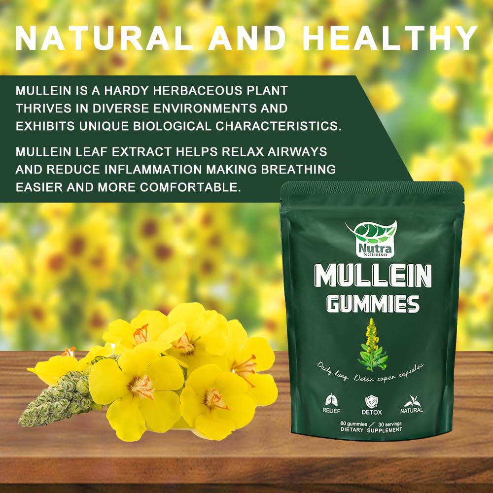 NutraNourish Mullein Gummies posibles beneficios para digestión y bienestar.