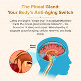 Nutraville Genesis Revival, shilajit-resina: fuente natural de energía y renovación.