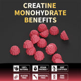Gomitas sin azúcar Nutravita Creatina Monohidrato, disfrute ligero sin azúcares añadidos
