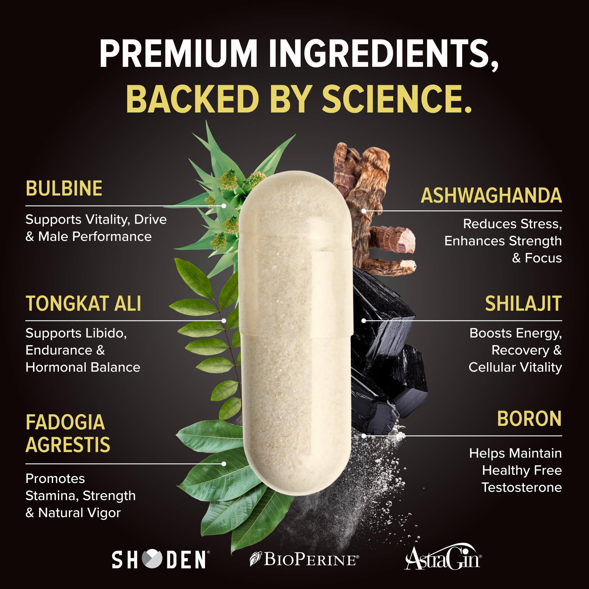 Etiqueta detallada de Alpha-T Magnum revela ingredientes para rendimiento sostenido