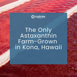 Empaque exterior de BioAstin Hawaii con información clave