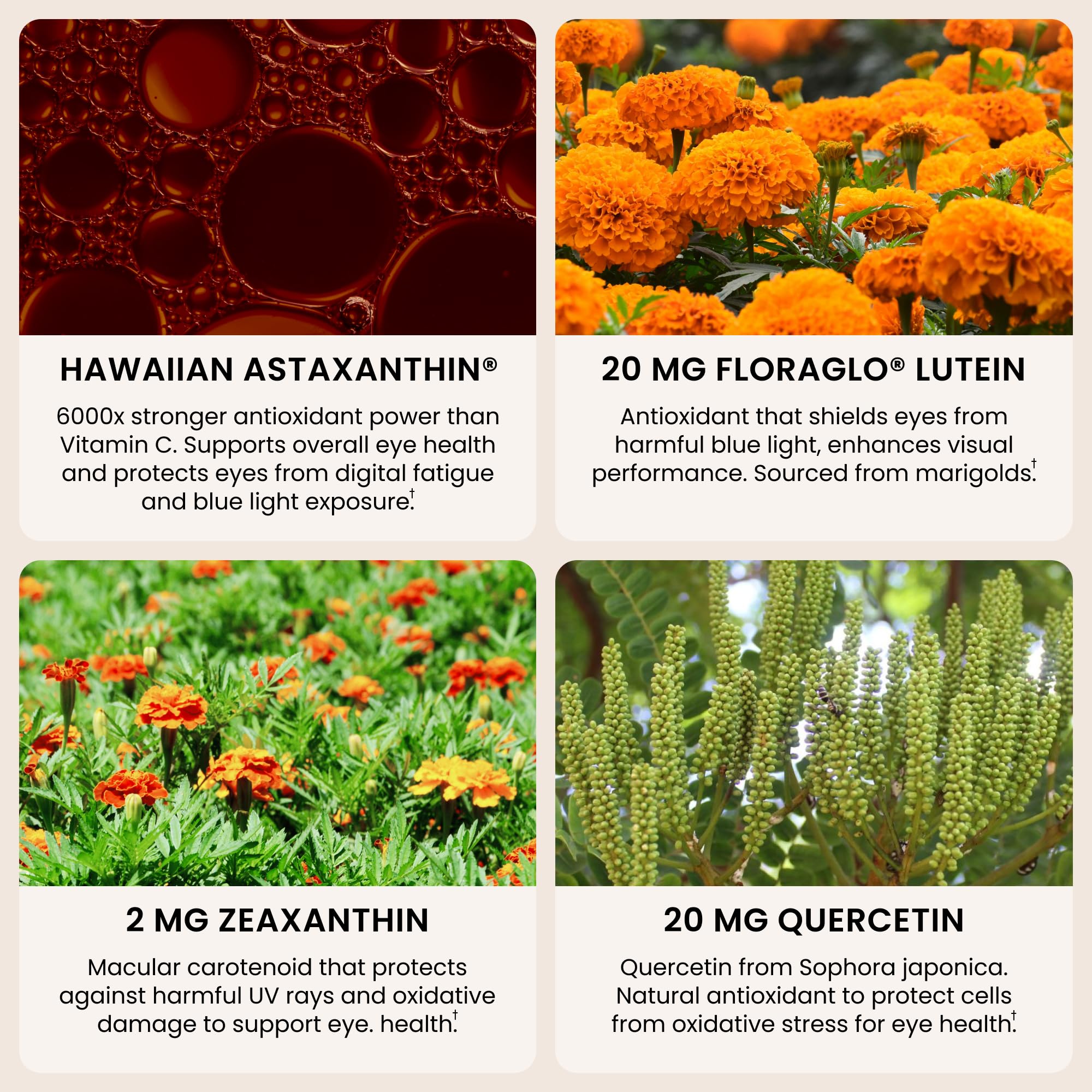 Detalle de BioAstin, luteína y zeaxantina para la visión saludable.
