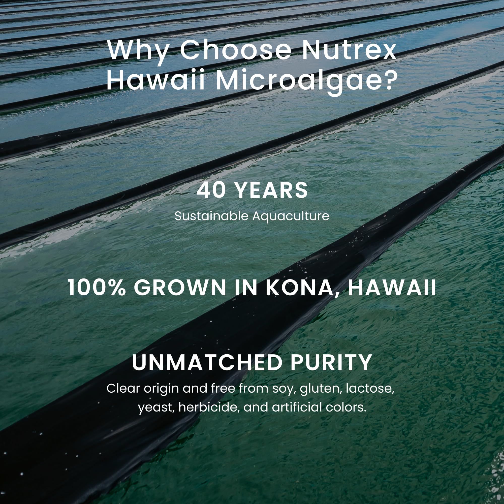 Selección de cultivo Kona, Hawaii, origen natural de EyeAstin.