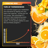 Nutrex Research Carnitina Líquida 3000, 31 dosis en envase de 473 ml.