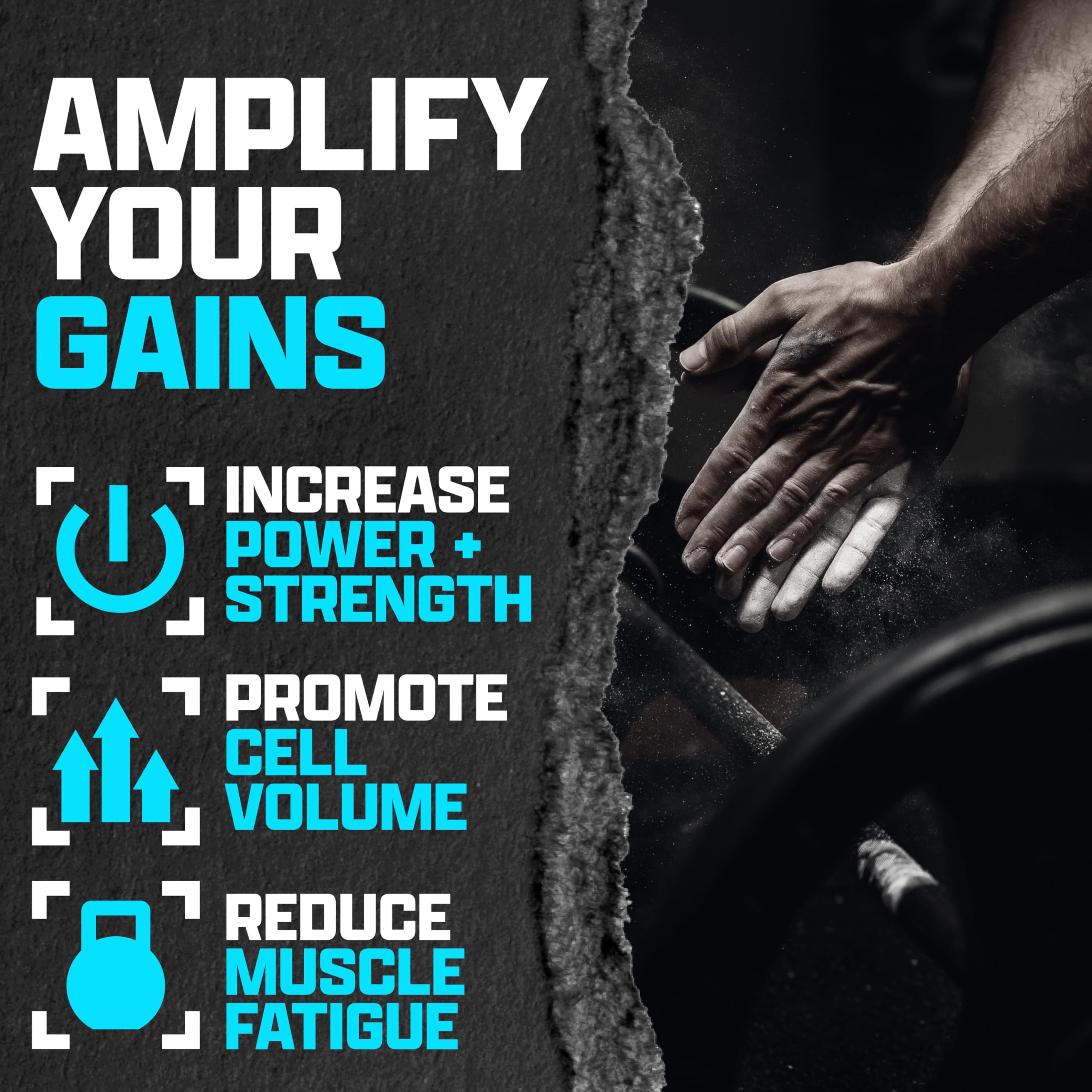 Nutrex Research Creatina Monohidratada se disuelve fácilmente en agua para entrenamientos.