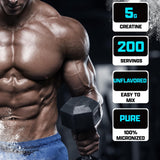 Cuchara de 5 g de Nutrex Creatina Monohidrata para dosificación precisa en entrenamientos
