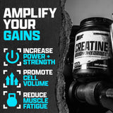 Producto Nutrex Creatina Monohidrato hecho en Estados Unidos, pureza y control de calidad