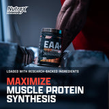 Nutrex EAA Hydration, vaso deportivo, bebida refrescante durante la sesión.