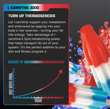 Nutrex Research Liquid Carnitine 3000, etiqueta clara en envase, información de ingredientes