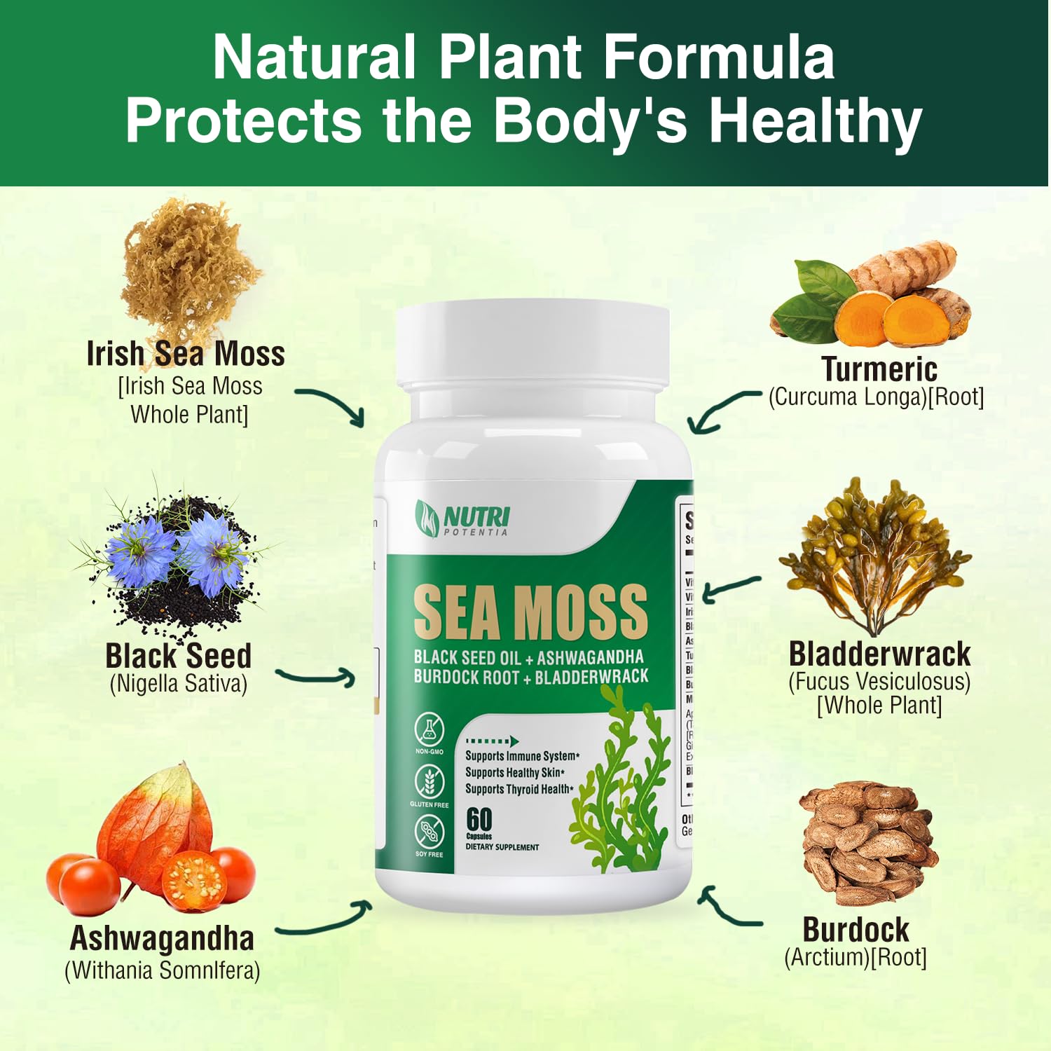 NUTRI POTENTIA cápsulas de ashwagandha, equilibrio emocional y enfoque diario
