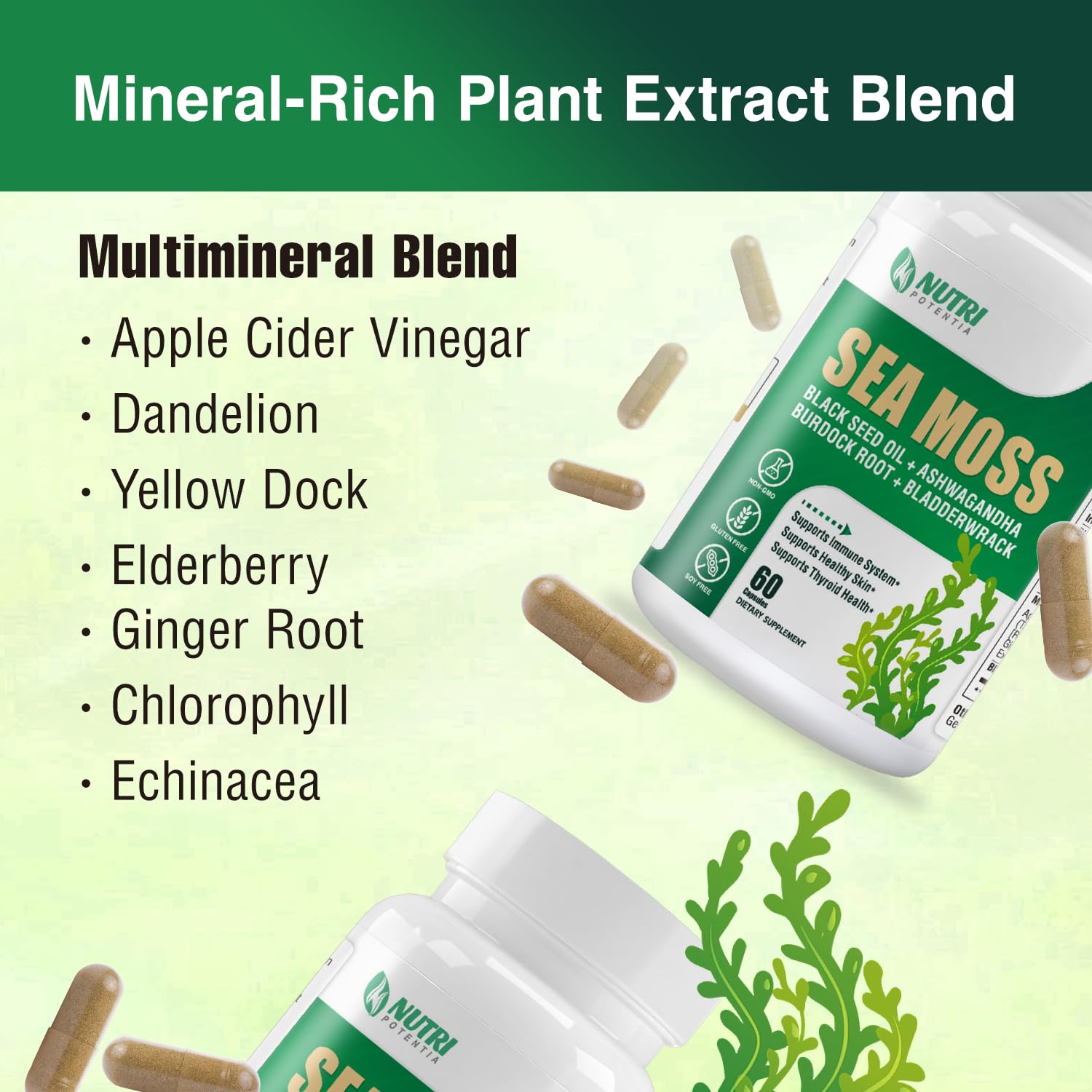 NUTRI POTENTIA cápsulas de cúrcuma, apoyo antioxidante diario