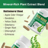 NUTRI POTENTIA cápsulas de cúrcuma, apoyo antioxidante diario