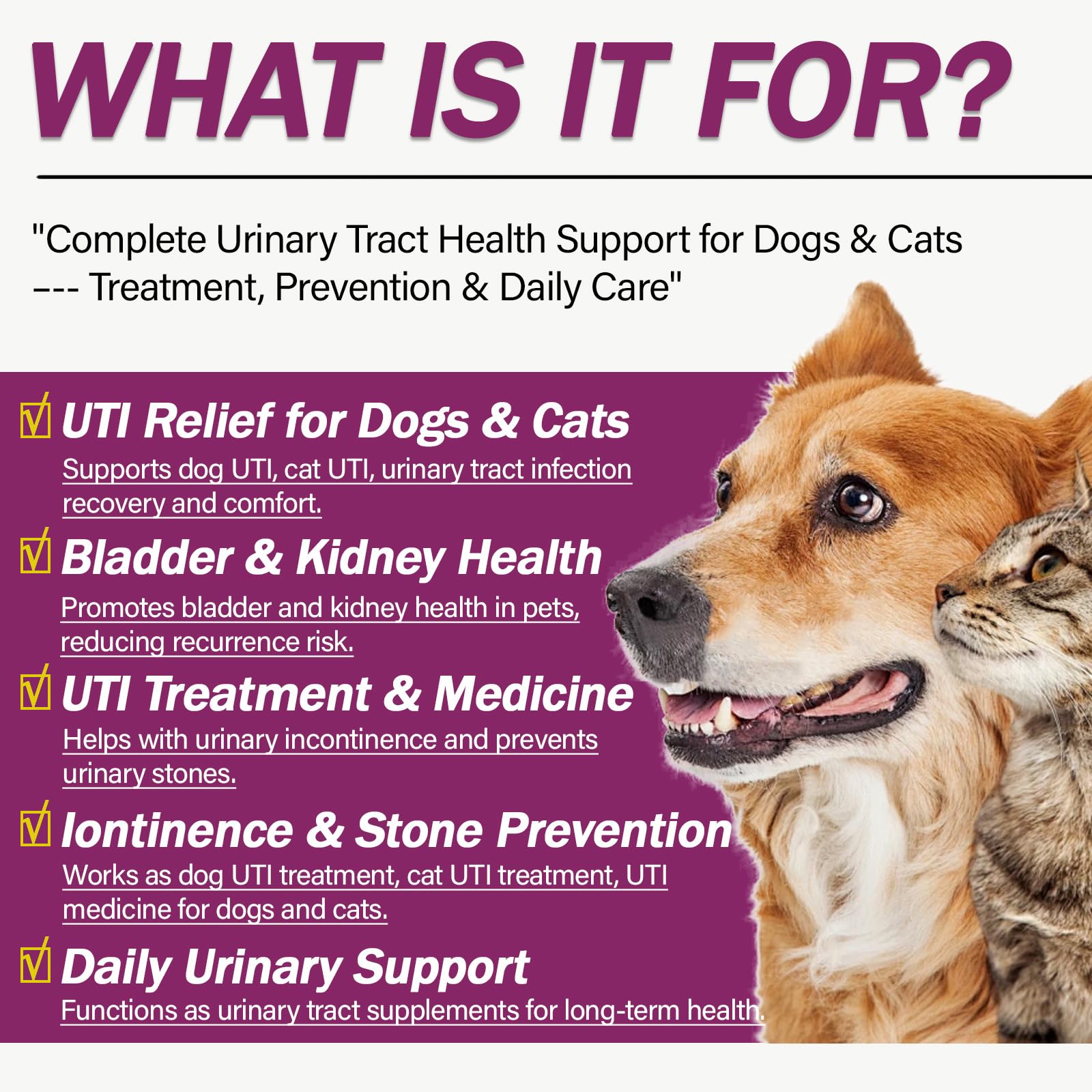 Cápsulas de Nutriarise UT Aid Plus para aliviar molestias urinarias de mascotas.