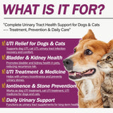 Cápsulas de Nutriarise UT Aid Plus para aliviar molestias urinarias de mascotas.