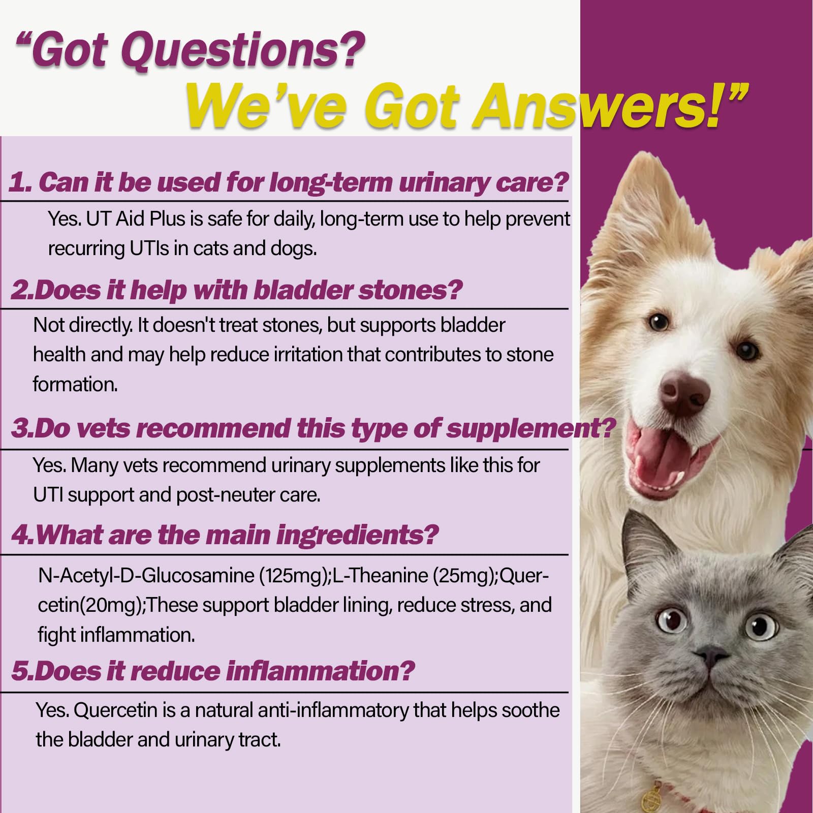 Gato o perro relajado gracias a Nutriarise UT Aid Plus.
