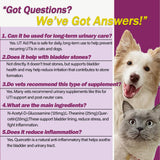 Gato o perro relajado gracias a Nutriarise UT Aid Plus.