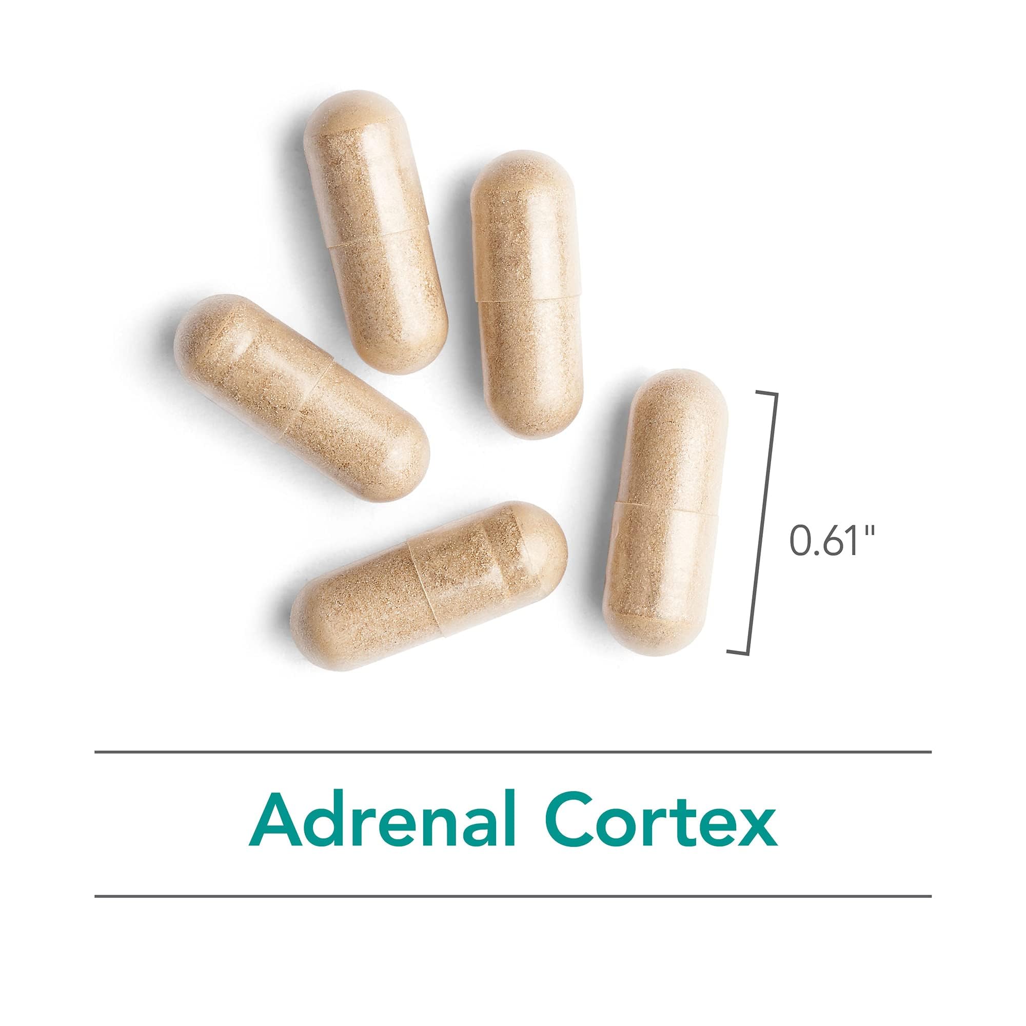 Nutricology Adrenal: ambiente clínico sugiere enfoque profesional