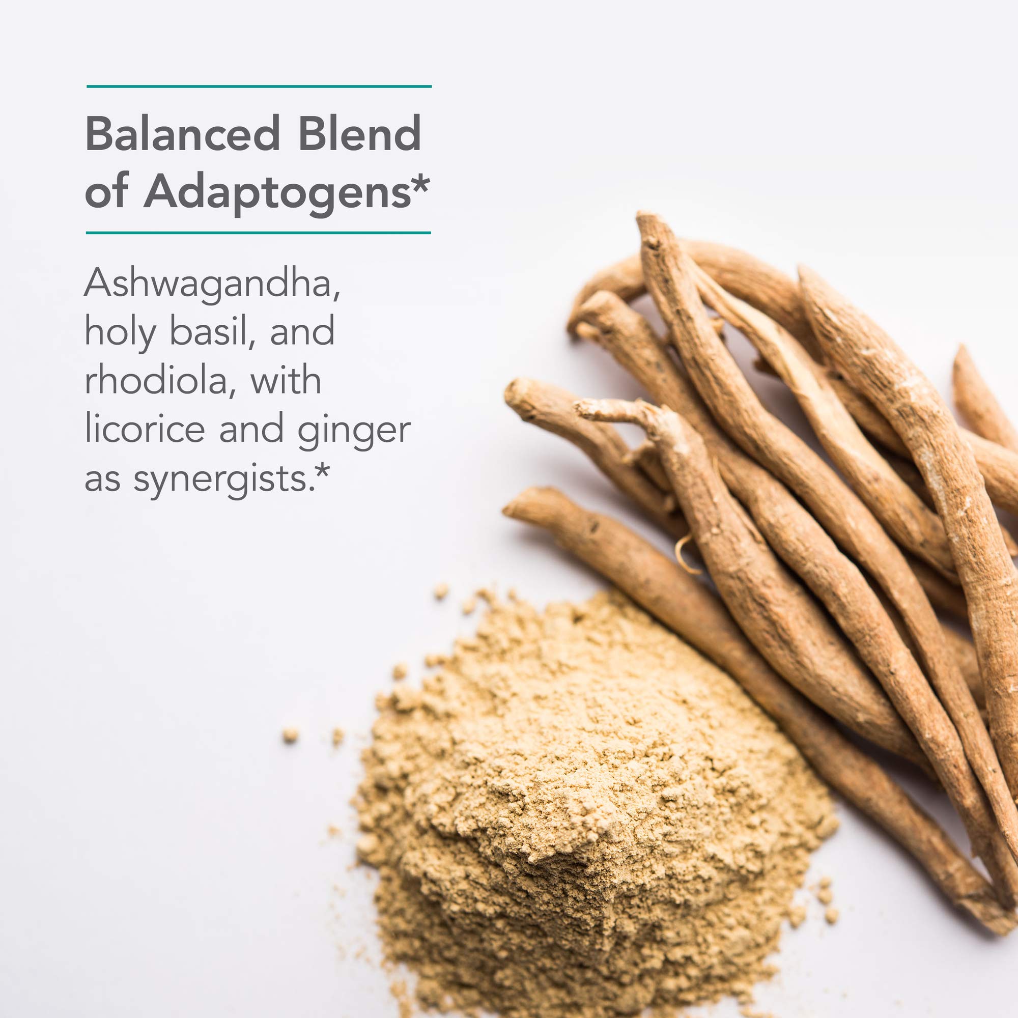Nutricology Botanical Adapt frasco y cápsulas sobre mesa limpia para consumo diario