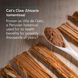 Extracto de corteza interna de Garra de Gato Nutricology.