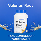 Nutricost Valeriana: cápsulas en mano muestran tamaño cómodo