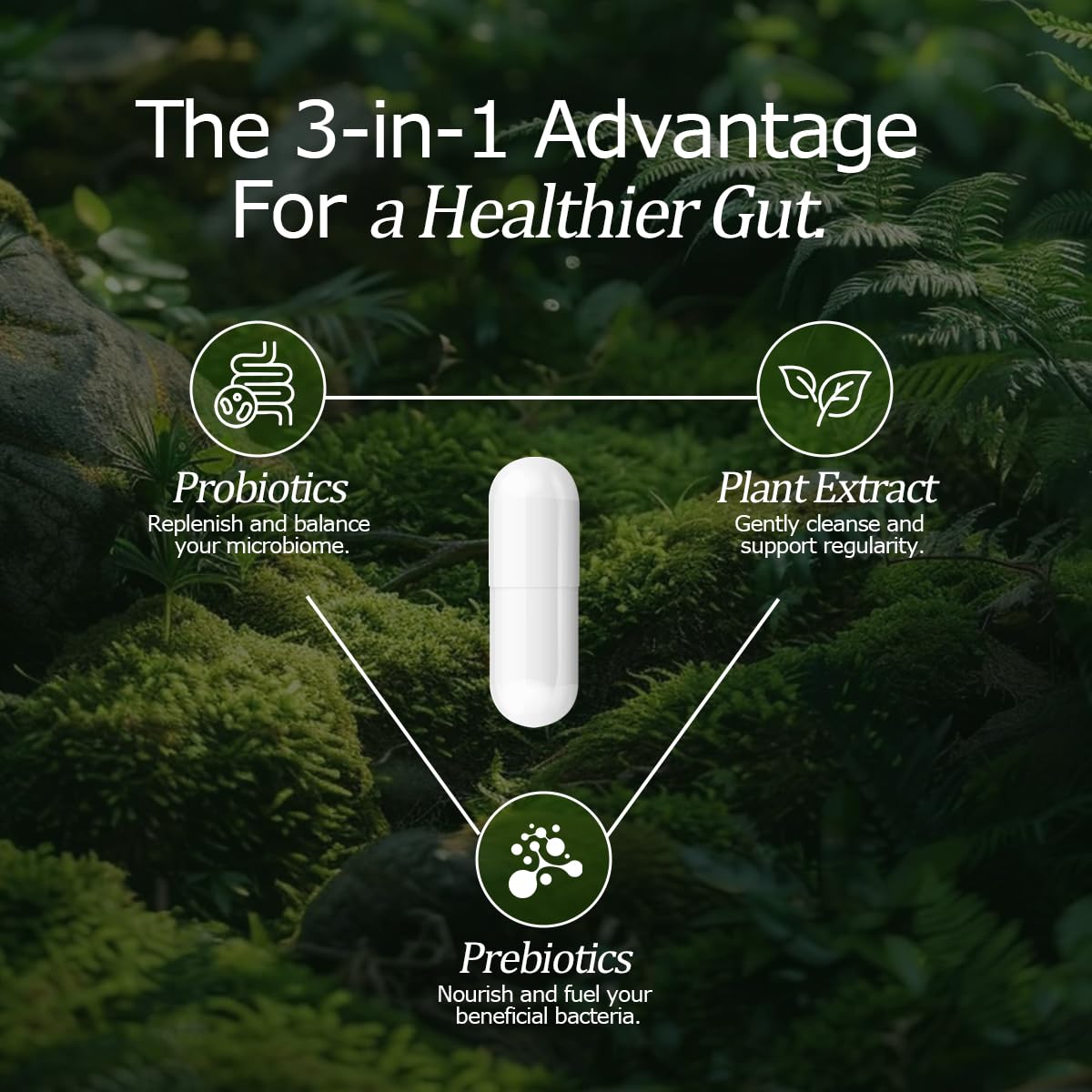 Mezcla de plantas en NutriSphere para apoyar el equilibrio digestivo.
