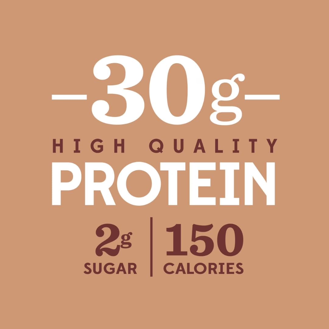 Nutrition PIan plan diario batido proteico chocolate, complemento fácil de la alimentación