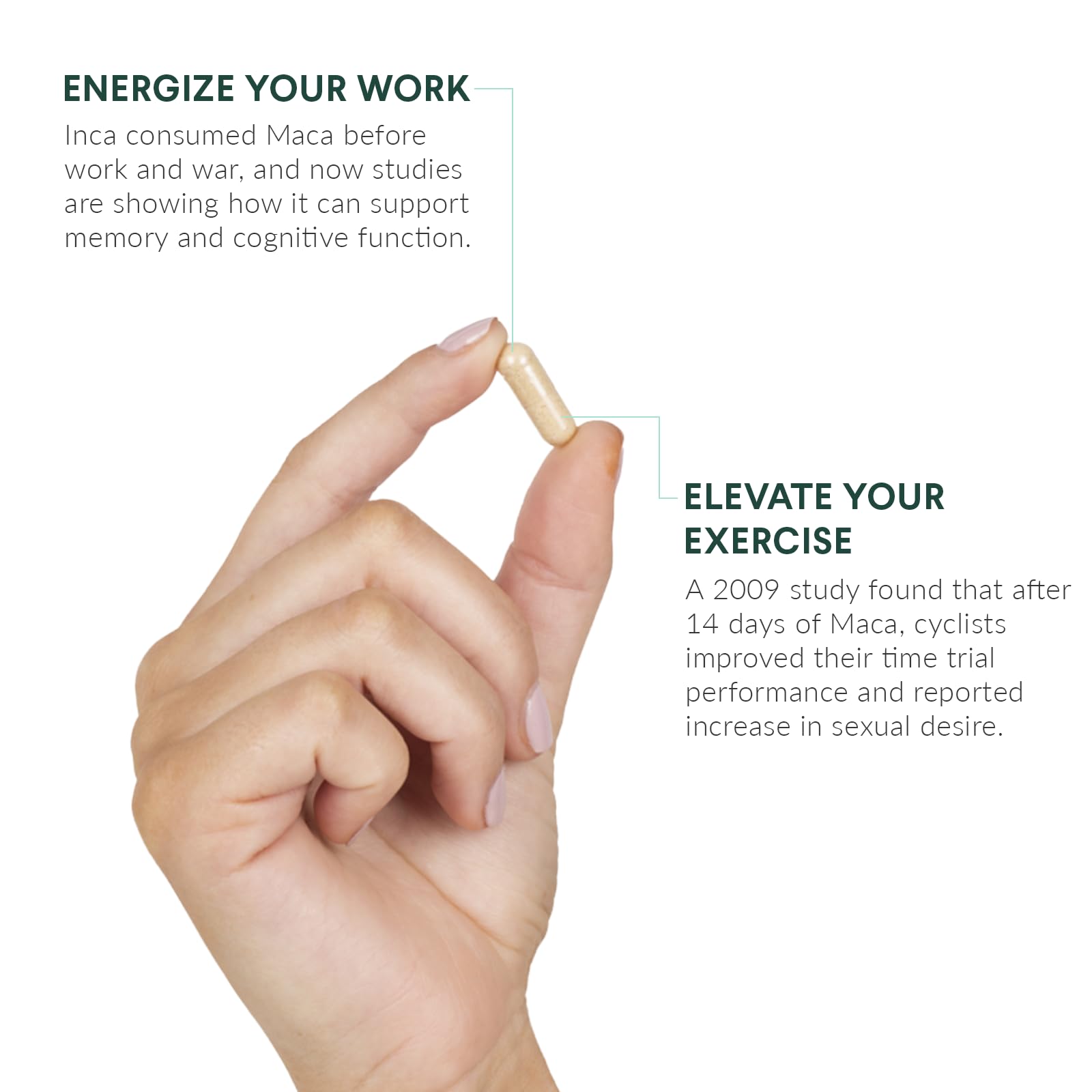 Maca gelatinizada de Nutritional Roots para mejor absorción y digestión.