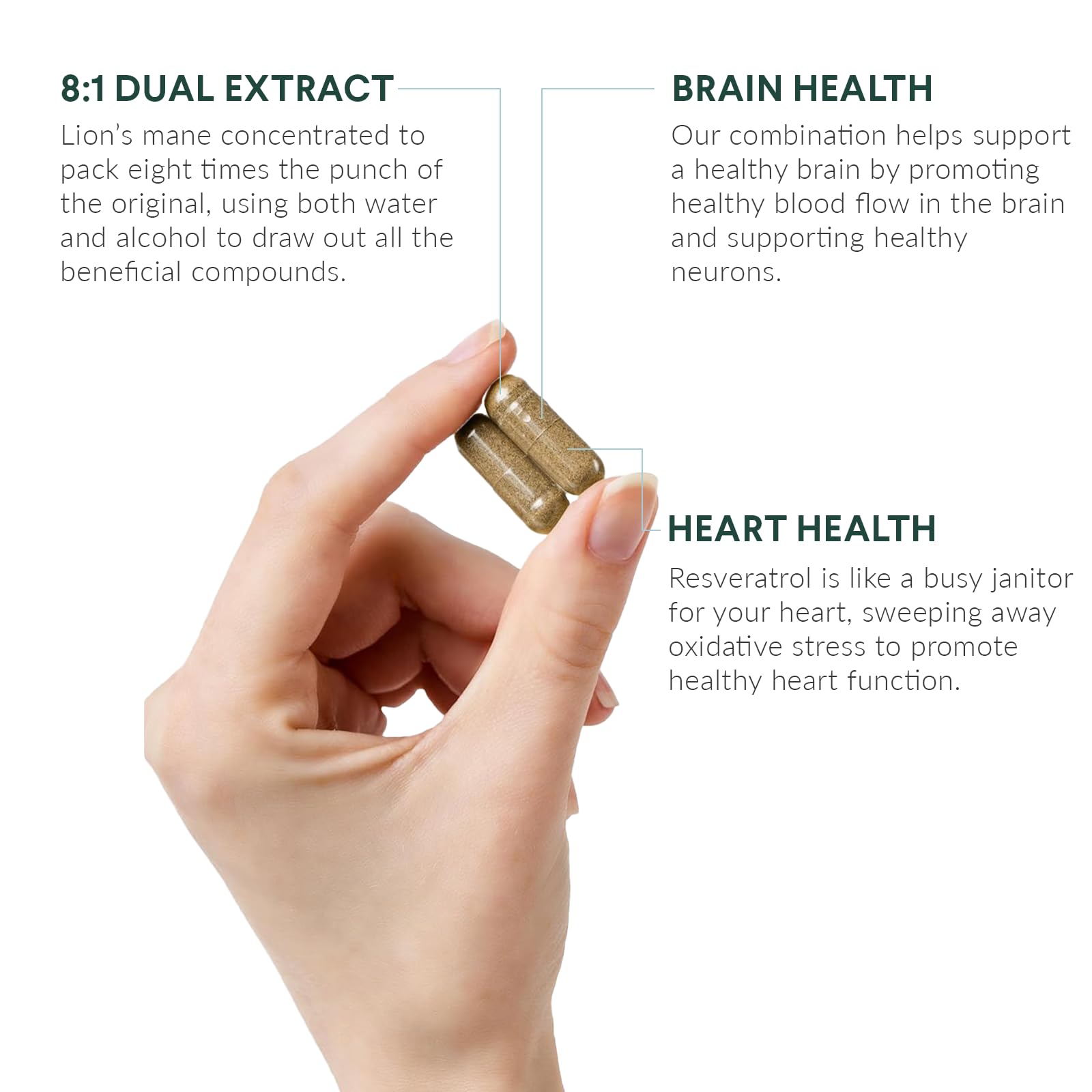 Nutritional Roots Raíz de Kudzu y Resveratrol, ingrediente natural para la salud cardiovascular.