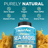 Nutrivein sistema inmunológico digestivo: cuidado de la microbiota y defensas naturales.