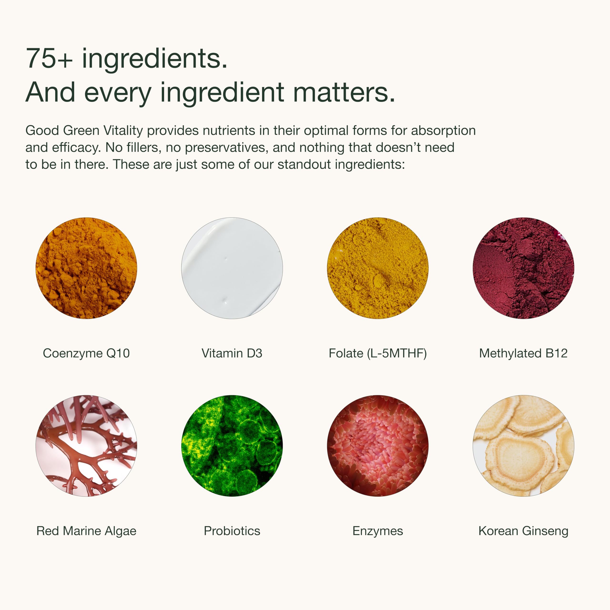 Nuzest polvo verdes vitaminas minerales, aporte diario para nutrición.