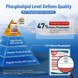NYO3 Krill Oil: cápsula omega-3 para apoyo a la energía.
