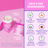 Obvi Collagenic Burn composición clave: cinco tipos de colágeno y té verde.