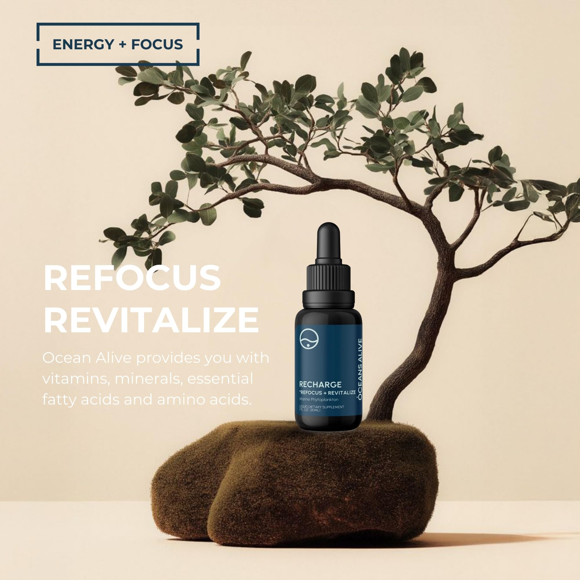 Etiqueta Oceans Alive destaca clorofila y minerales marinos para apoyo nutricional.