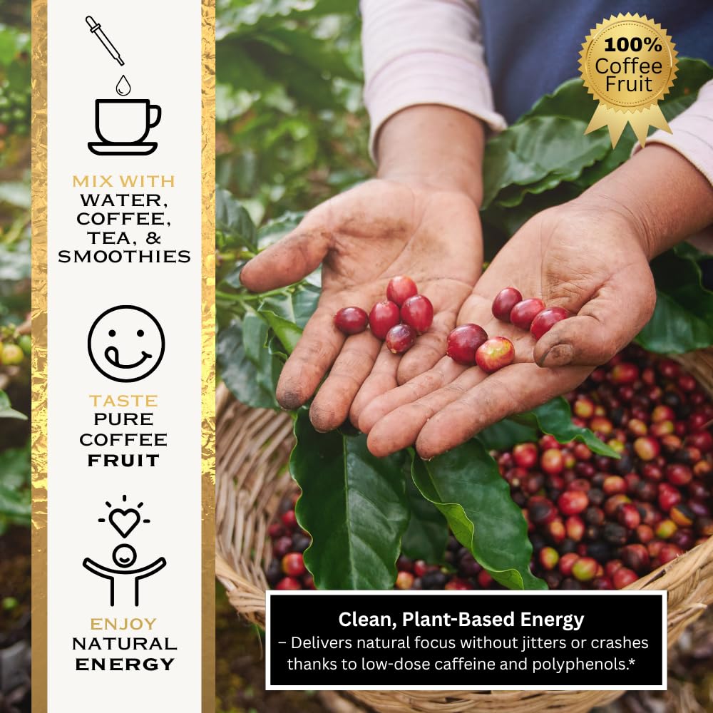 OhmYes Javaberry concentrado líquido fruta café ideal para mezclar en bebidas.