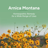 OLLOÏS Arnica Montana envase orgánico y natural.