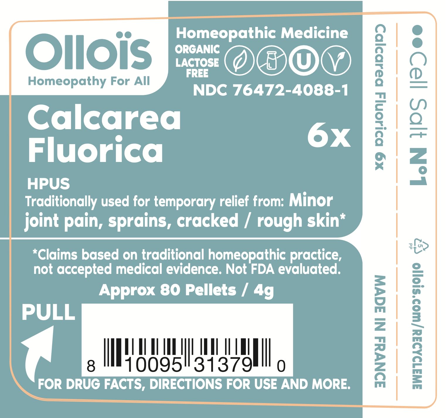 OLLOÏS Calcarea Fluorica: pastillas en caja para transporte y uso diario