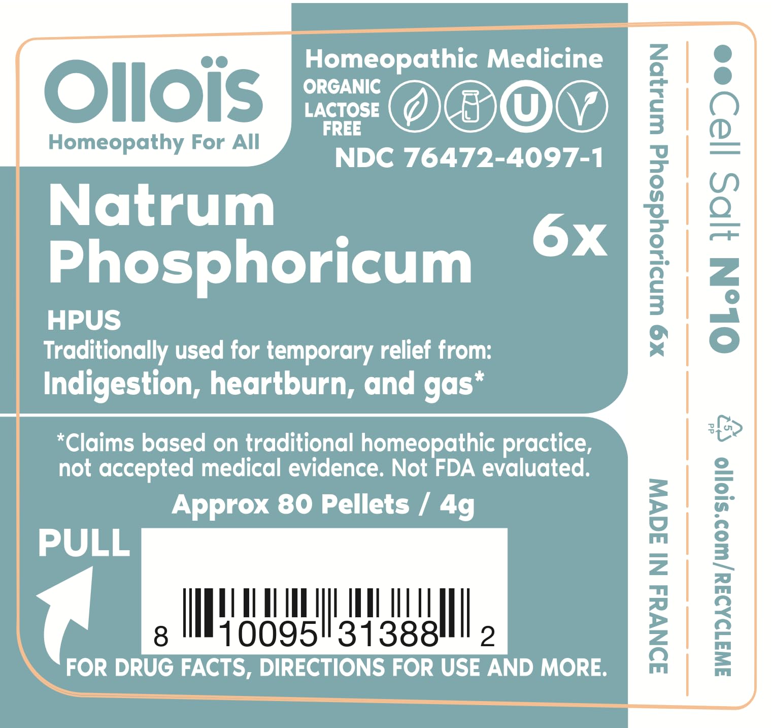 OLLOÏS Natrum Phosphoricum proceso de cultivo y extracción de la tintura madre