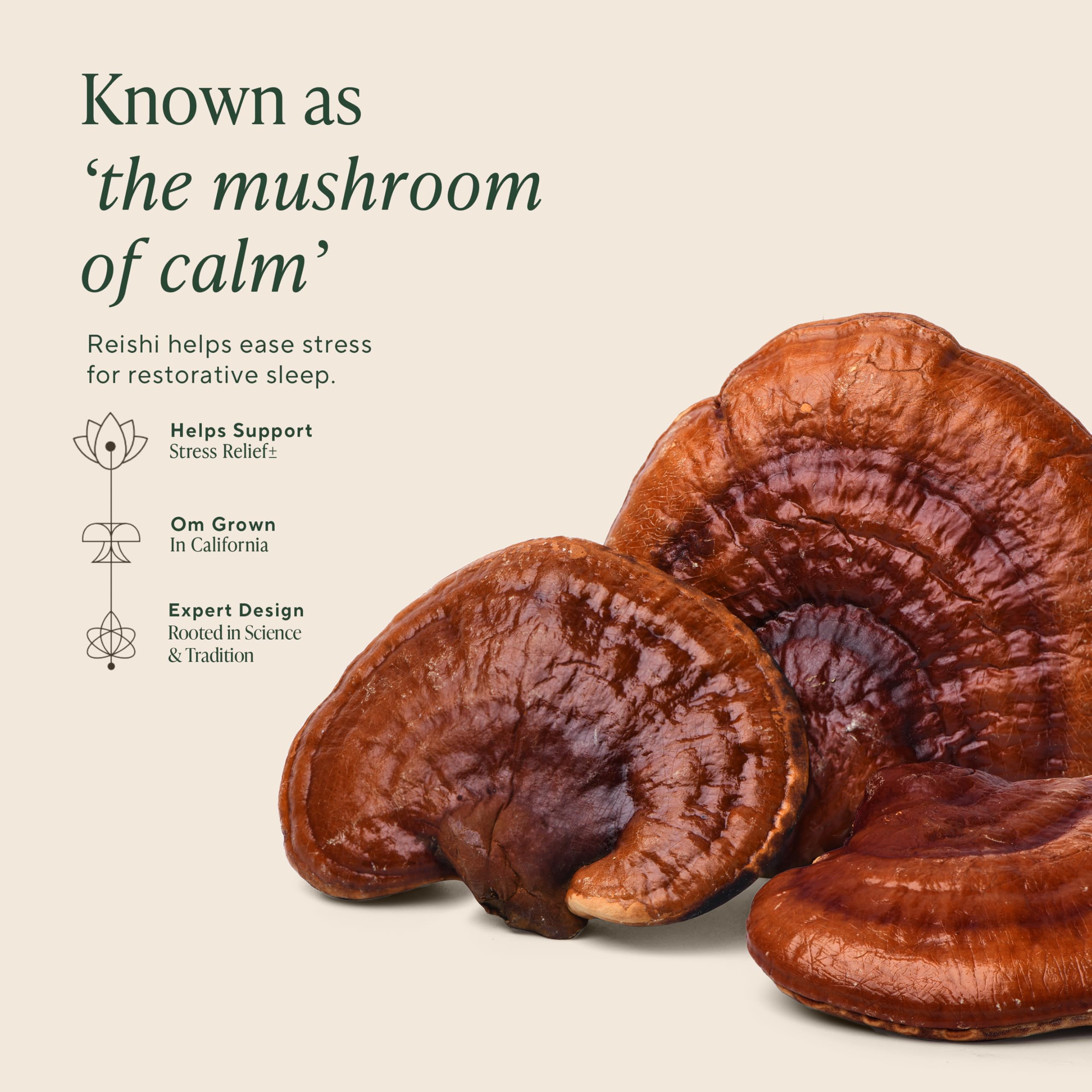 OM MUSHROOMCapsulas de Sueno cápsulas apiladas para toma diaria fácil