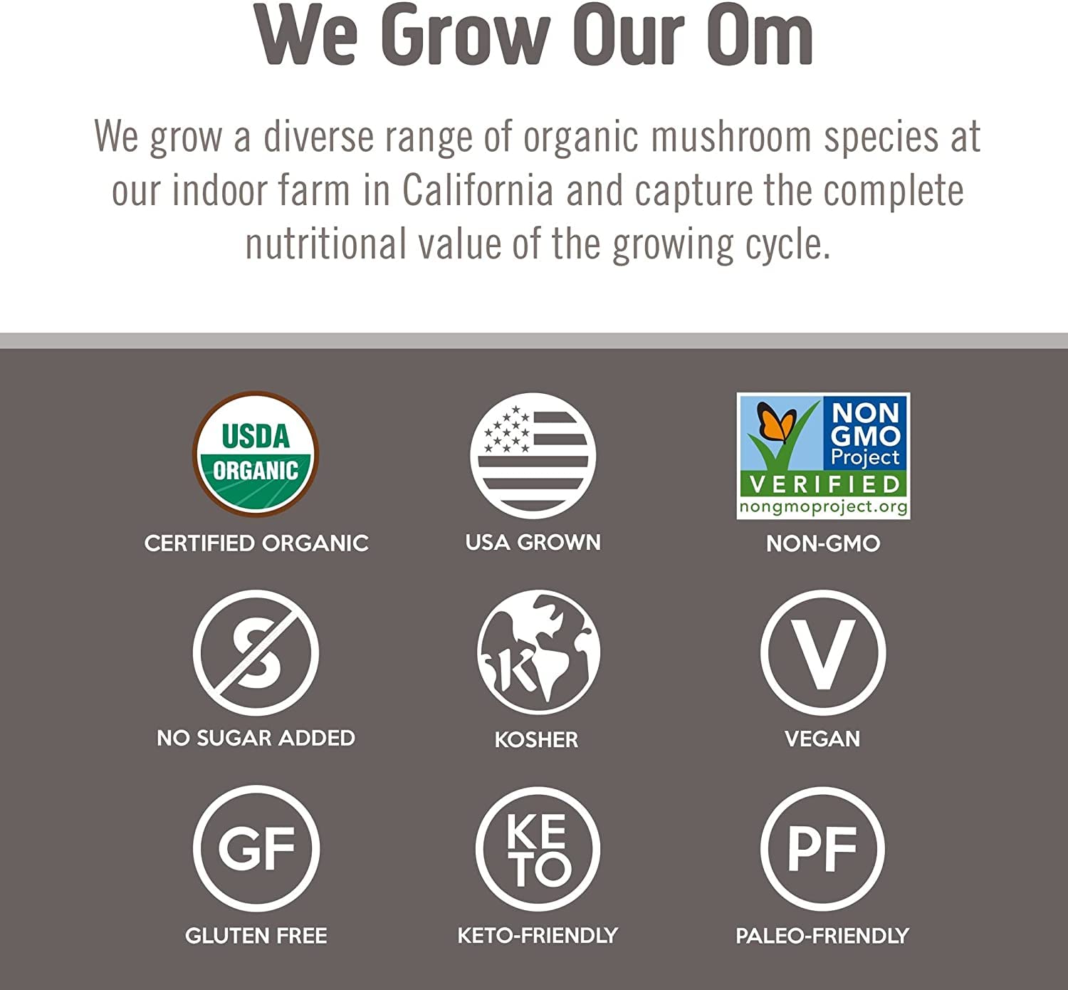 Om Mushroom Chaga orgánico, cultivado en California, proceso responsable.