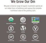 Om Mushroom Chaga orgánico, cultivado en California, proceso responsable.