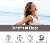 Om Mushroom Chaga orgánico, polvo para café, sabor suave y beneficios posibles.
