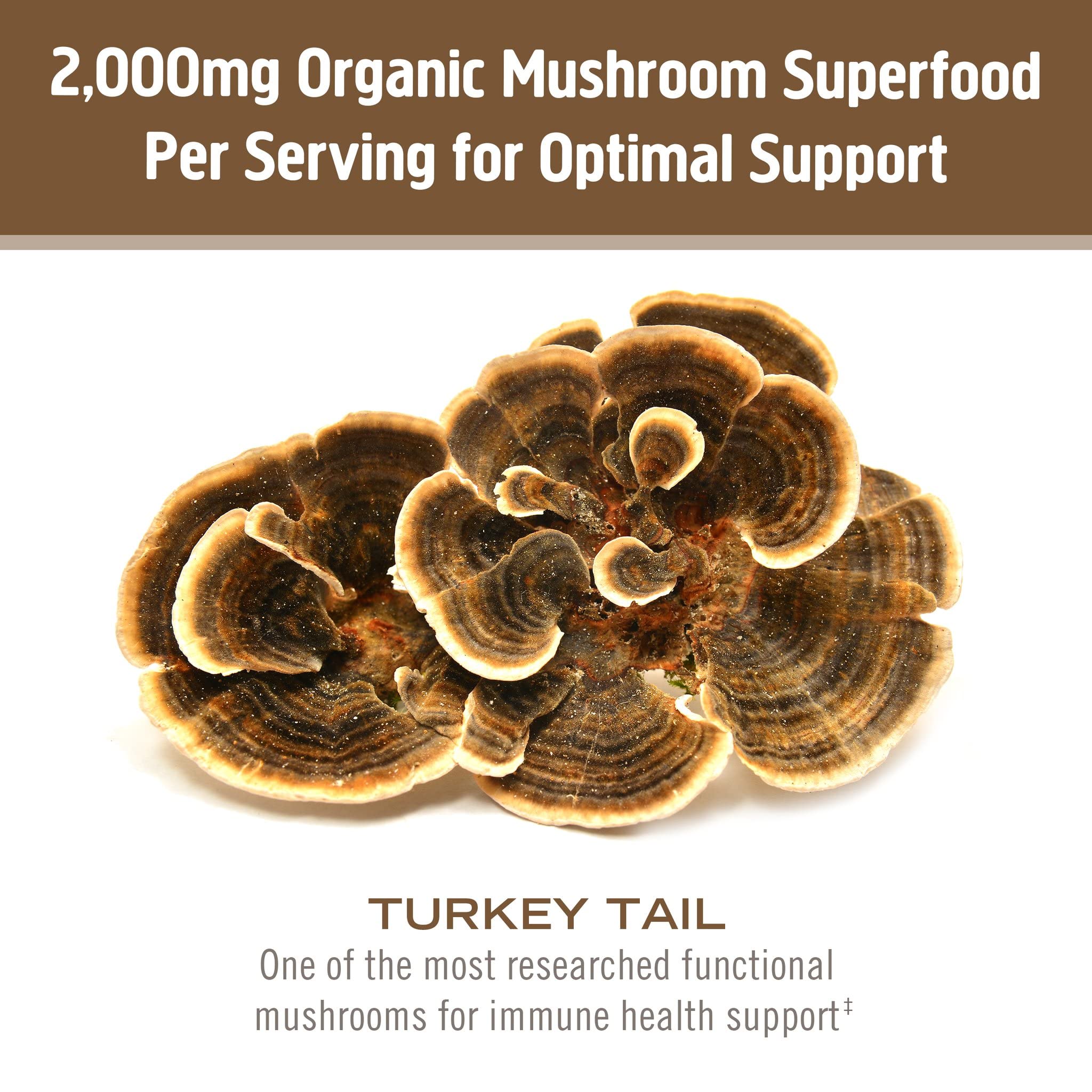 OM MUSHROOM SUPERFOOD Cola de Pavo cuchara medidora, porciones fáciles