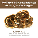 OM MUSHROOM SUPERFOOD Cola de Pavo cuchara medidora, porciones fáciles