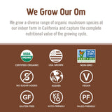 OM MUSHROOM CORDYCEPS energía y rendimiento en tus entrenamientos