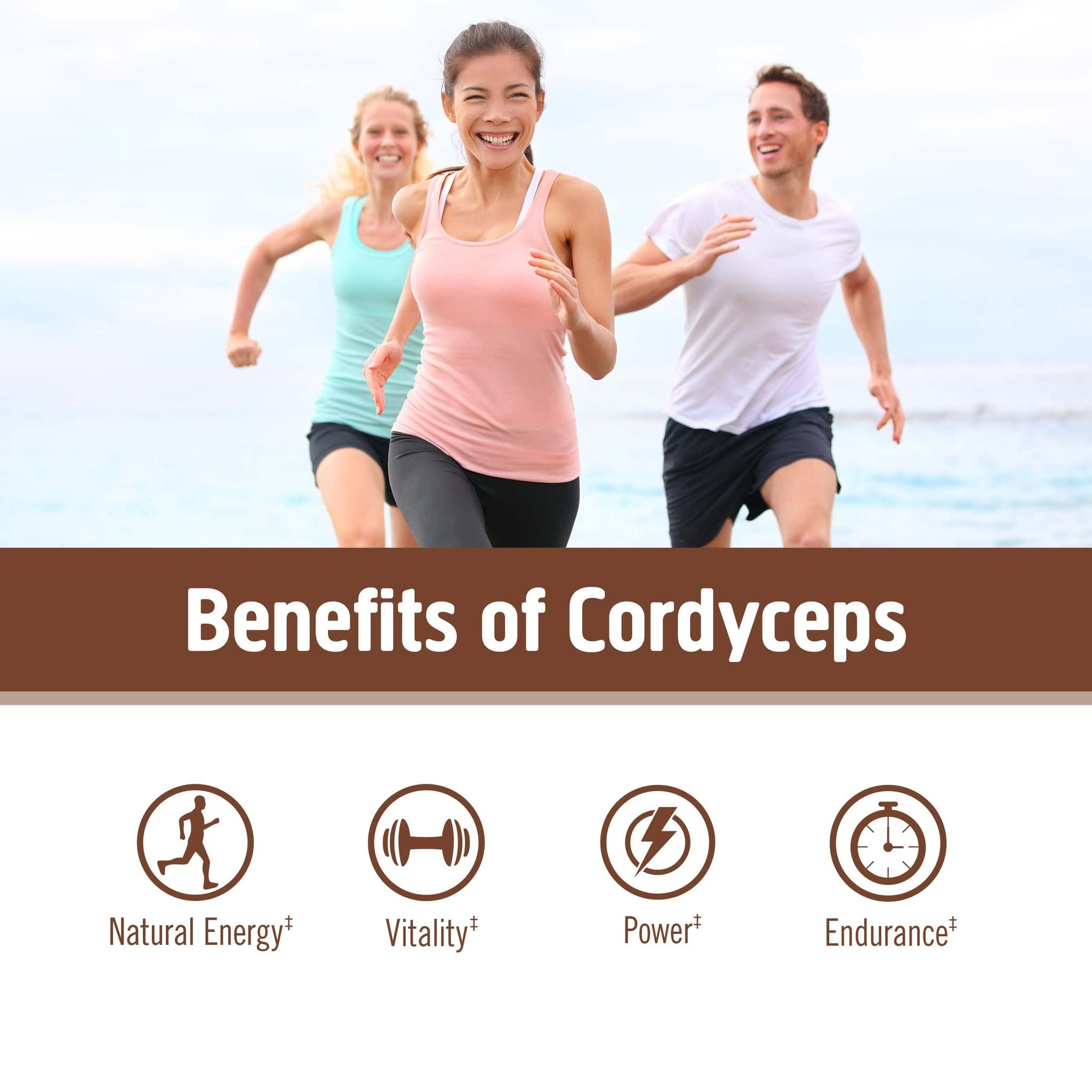 OM MUSHROOM CORDYCEPS mezcla para café con rendimiento sostenido